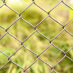 Chain Link Fence